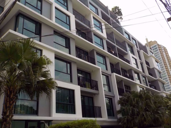 The Shine Serviced Apartment For Rent Preview 5