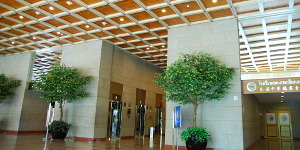 Thai CC Tower Office For Rent Preview 2