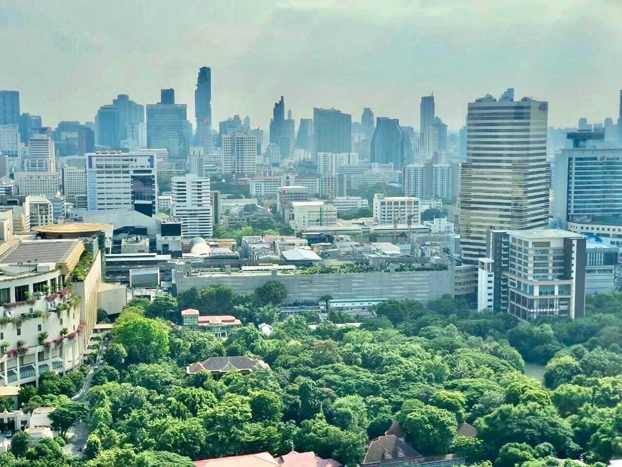 Wish Signature Midtown For Rent Preview 7