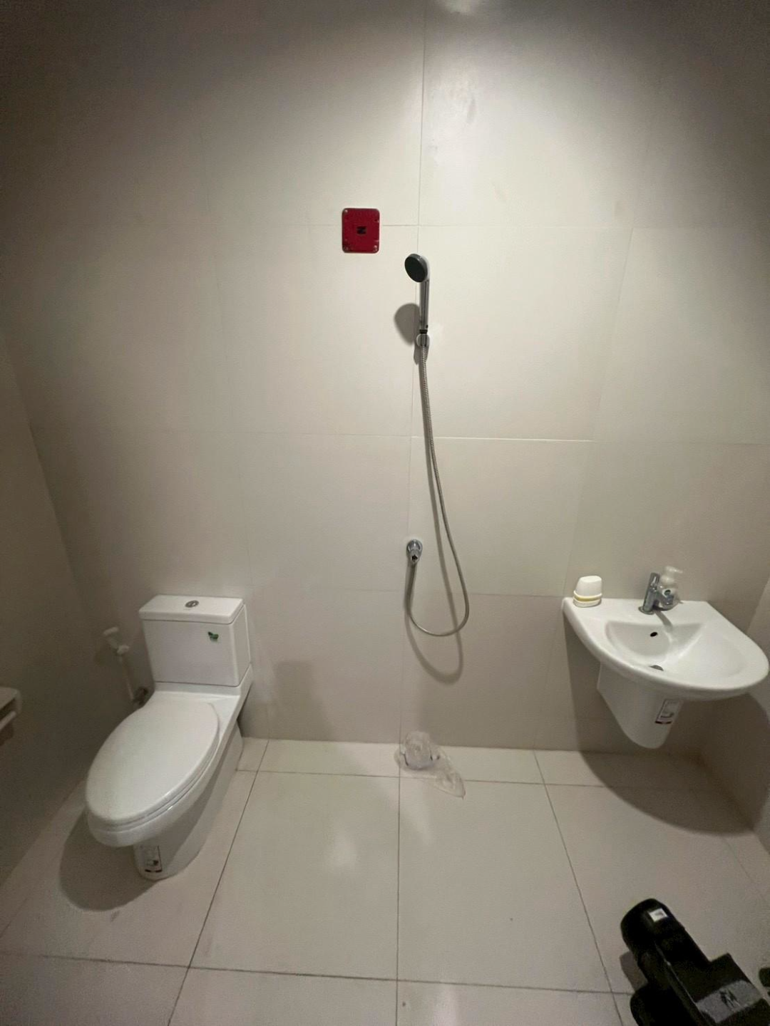 The Ritz Carton Bangkok For Rent Preview 2