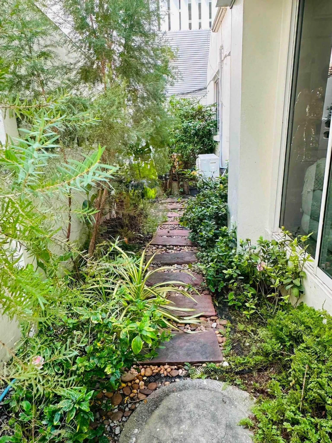 HOUSE SUKHUMVIT 31 For Rent Preview 6