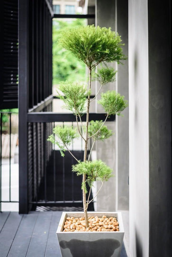 Single House Sukhumvit 28 For Rent