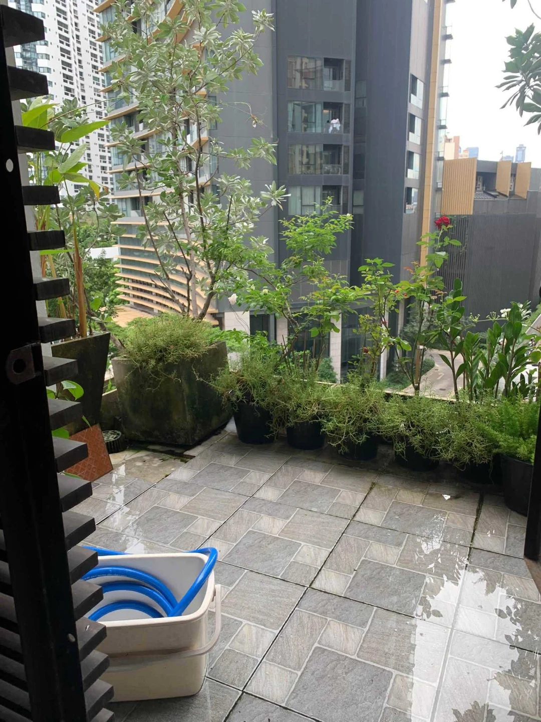 The emporio place For Rent Preview 5