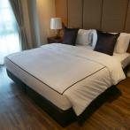 The Elite Thonglor 25 Service Apartment For Rent Preview 4